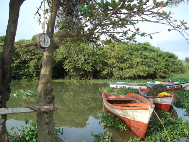 File:Boca de Aroa 5.JPG