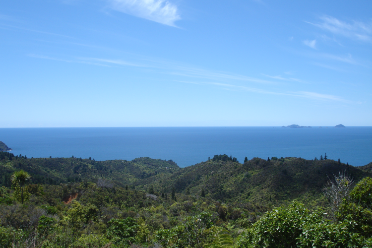 File:Coromandel01.png