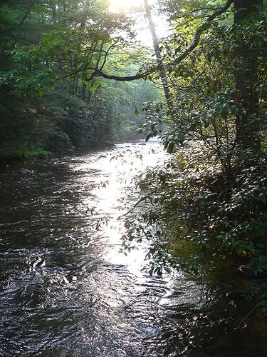 File:North Carolina River.jpg