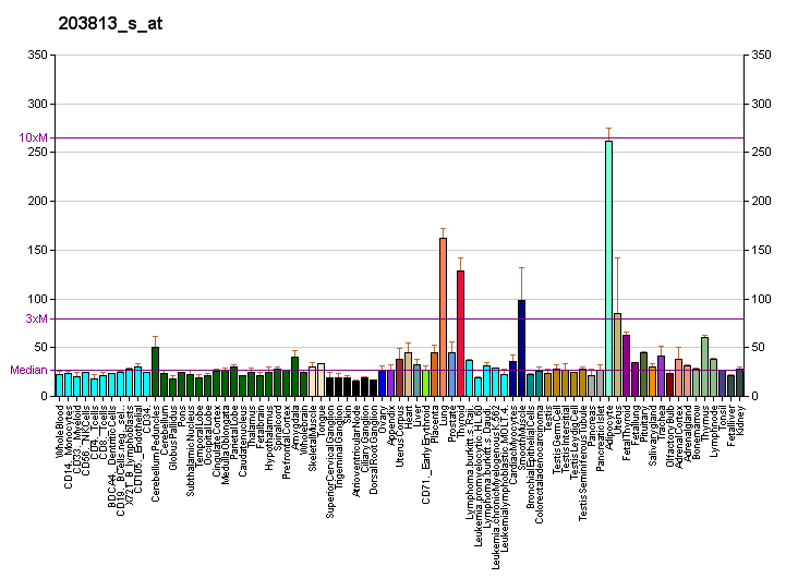 File:PBB GE SLIT3 203813 s at fs.png