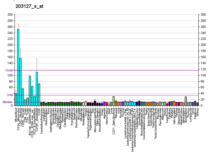 File:PBB GE SPTLC2 203127 s at fs.png