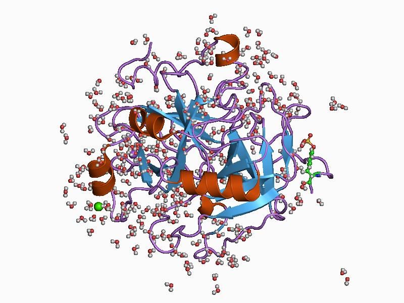 File:PDB 1c5l EBI.jpg