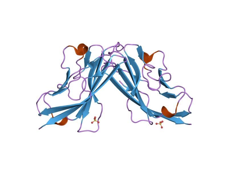 File:PDB 1eaj EBI.jpg