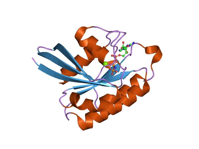 File:PDB 1huq EBI.jpg