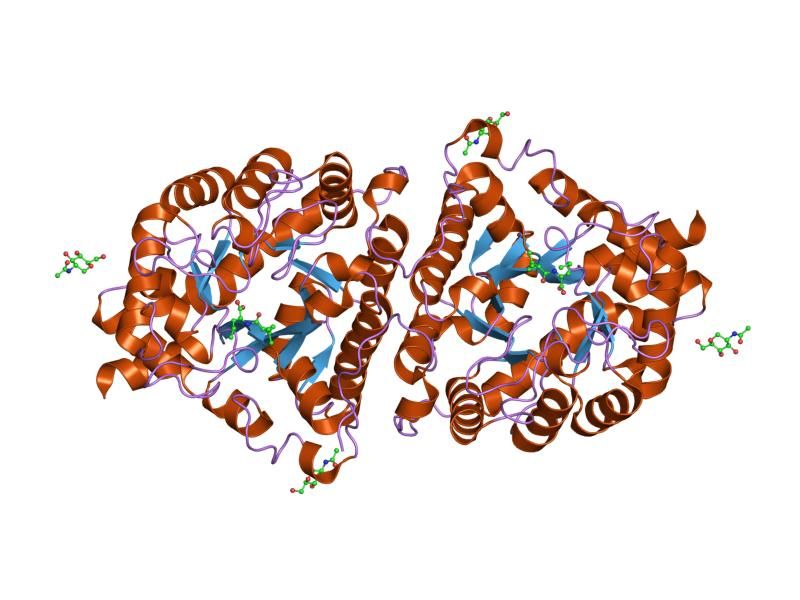 File:PDB 1itu EBI.jpg