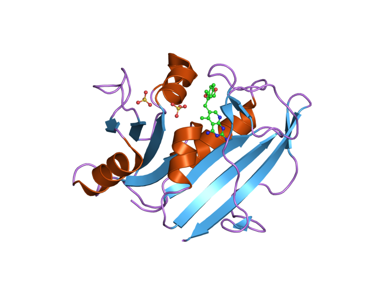 File:PDB 1u71 EBI.png