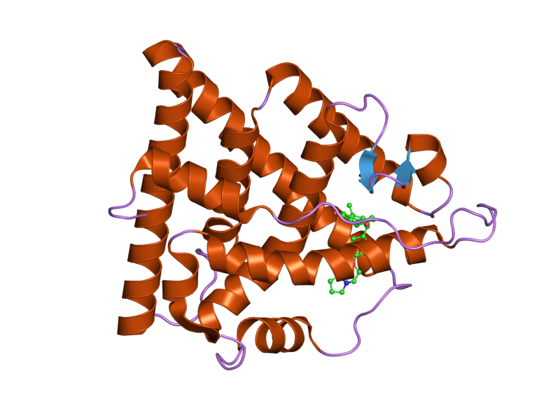 File:PDB 1yim EBI.png