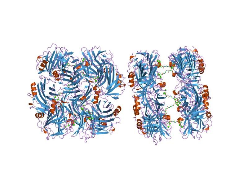 File:PDB 2a3w EBI.jpg