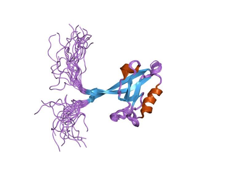 File:PDB 2csj EBI.jpg