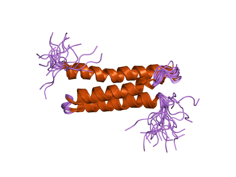 File:PDB 2d9d EBI.png