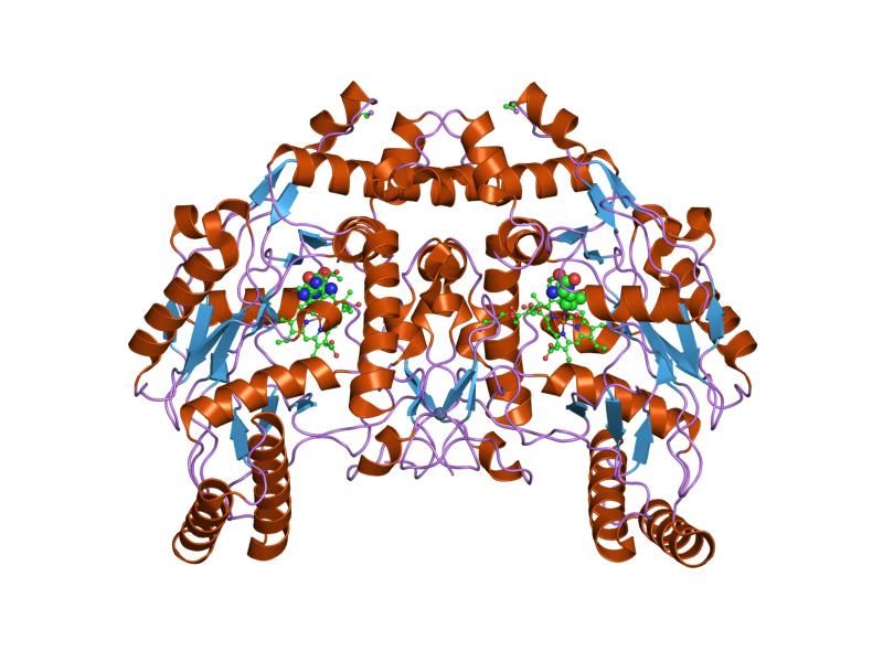 File:PDB 2g6o EBI.jpg