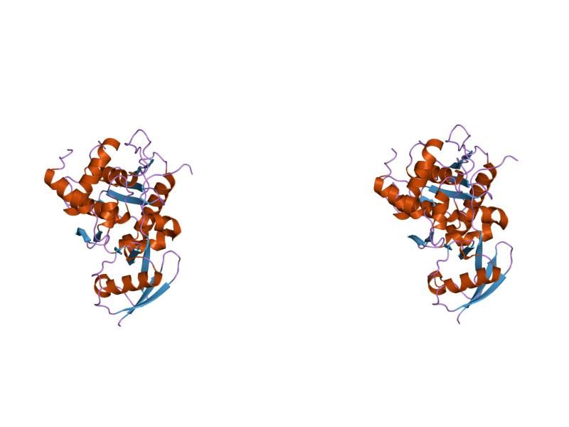 File:PDB 2iy1 EBI.jpg