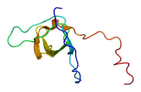 File:Protein STAM2 PDB 1x2q.png