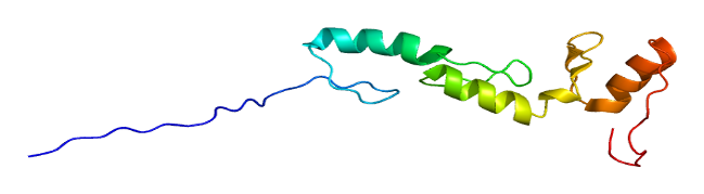 File:Protein ZNF295 PDB 1wjp.png