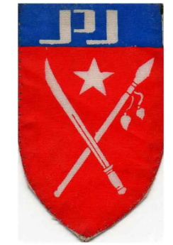 File:Right Arm Bage of ABSDF.png