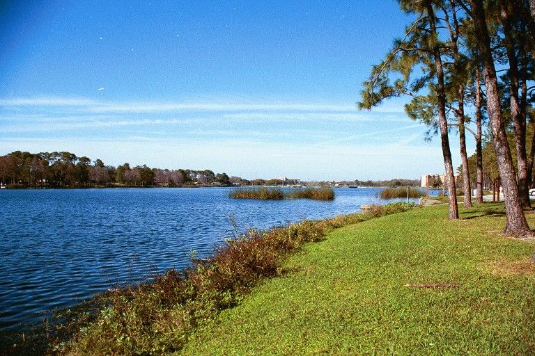 File:Taylor lake, largo, florida03.jpg