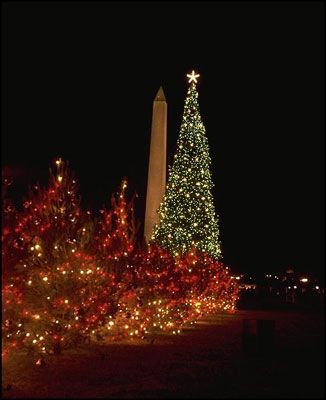 File:US National Christmas Tree 1965.jpg