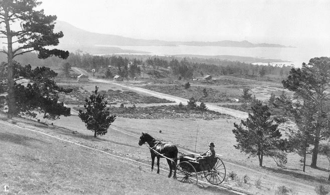 File:View of Carmel City.jpg