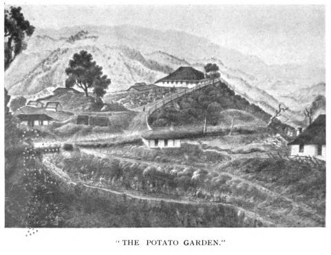 File:Young's potato garden.jpg