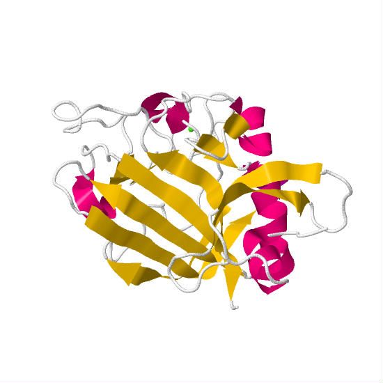 File:1Z3U.pdb1.jpg