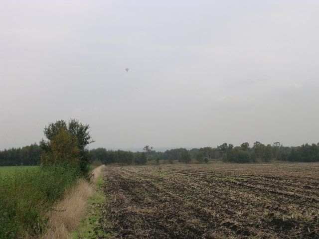 File:Astley Moss - geograph.org.uk - 61126.jpg