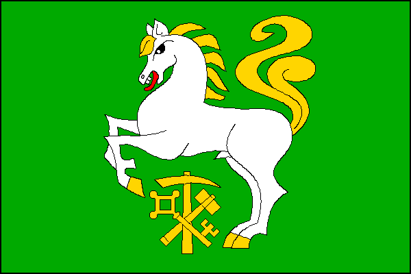 File:Borušov flag.png