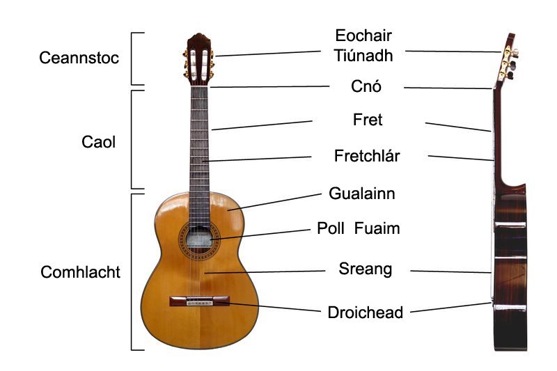 File:Classical Guitar labelled irish.jpg