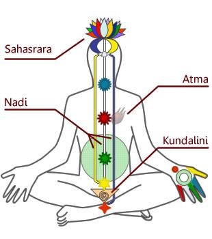 File:DiagrammaChakraKundalini.jpg