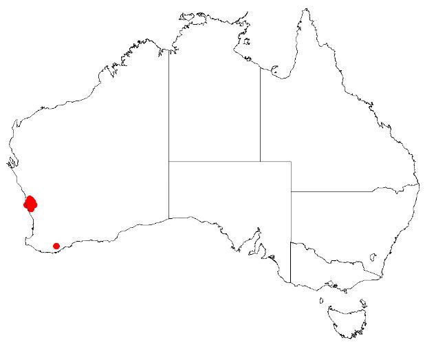 File:Hakea megalosperma DistMap.jpg