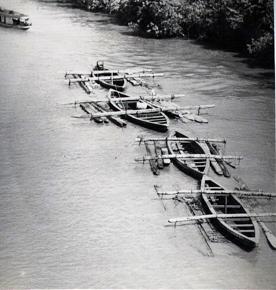 File:Hardwood logs transported down Suriname river.jpg