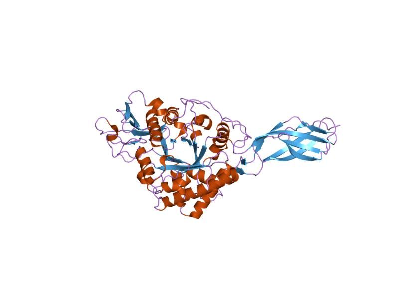 File:PDB 1edq EBI.jpg