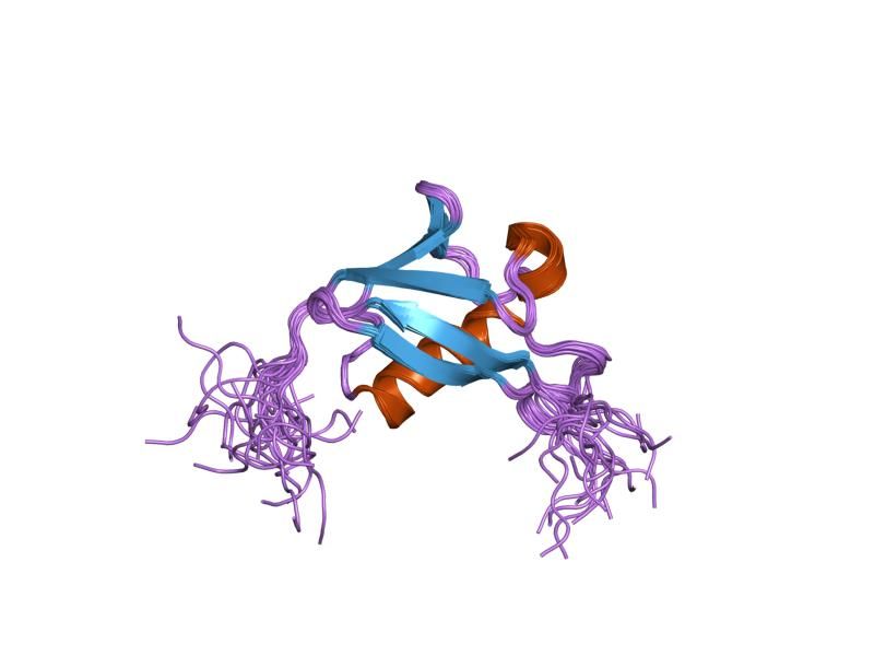 File:PDB 1wxv EBI.jpg