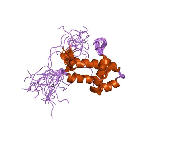 File:PDB 1x3a EBI.jpg