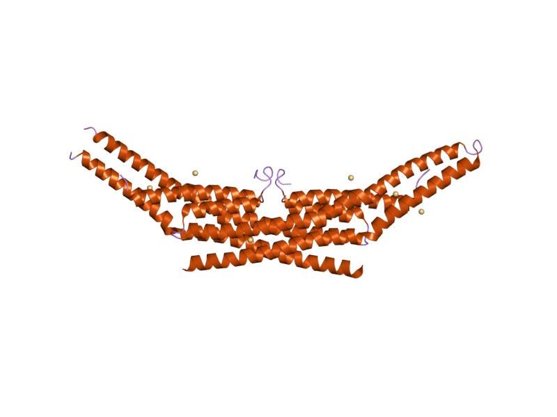 File:PDB 1zww EBI.jpg