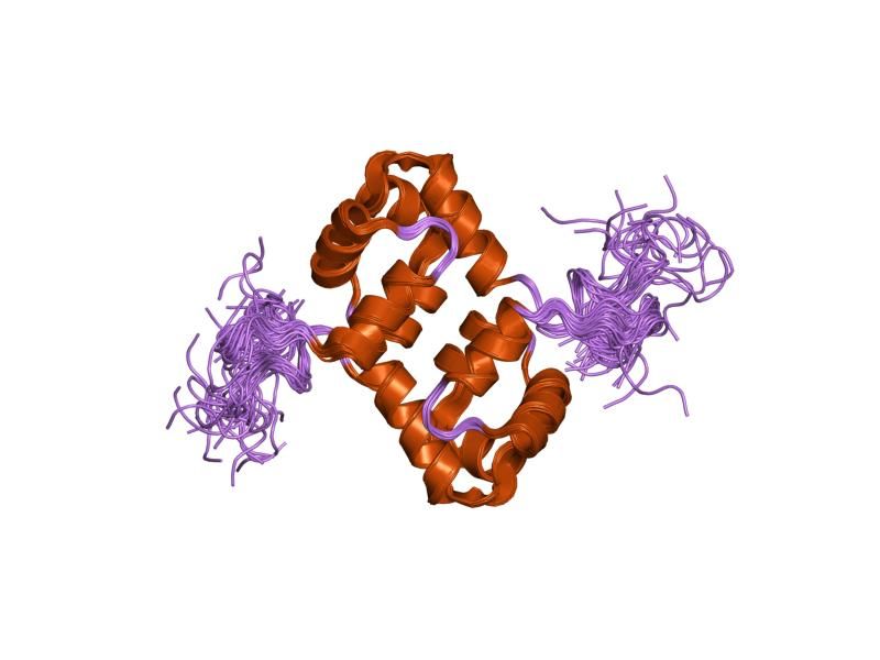 File:PDB 2aq0 EBI.jpg