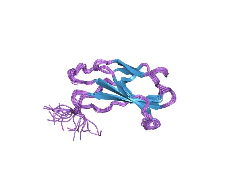 File:PDB 2fnb EBI.jpg