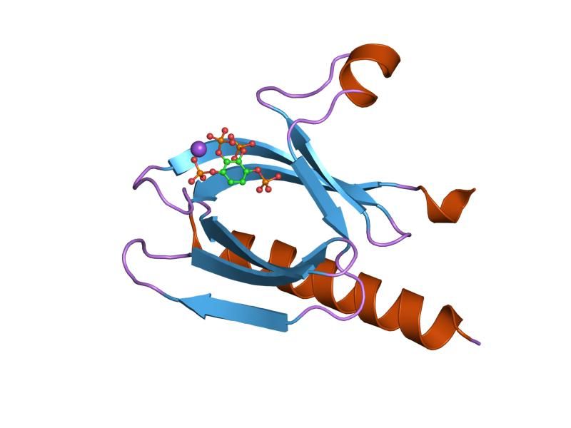 File:PDB 2uvm EBI.jpg