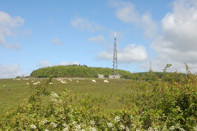 File:Transmitter Masts - geograph.org.uk - 1321316.jpg