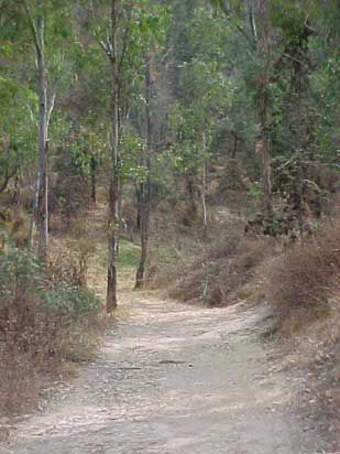 File:Cerro de la Estrella.jpg