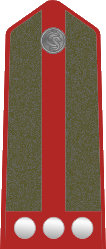 File:Czechoslovakia Castle Guard OR-3 - Četař (1931-1939).png