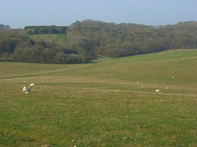 File:Downland, Linkenholt - geograph.org.uk - 769883.jpg