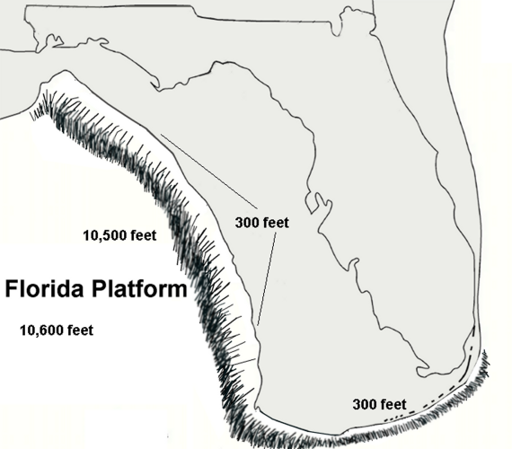 File:Florida Platform02.png