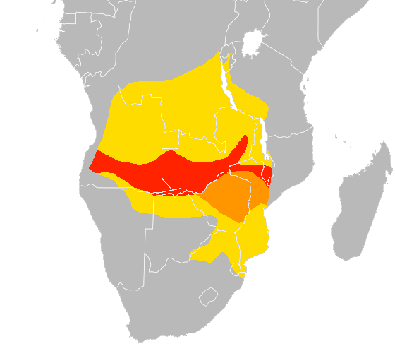 File:Merops nubicoides distribution map, crop.png