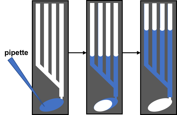 File:MicrofluidicDevice.png