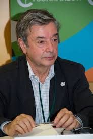 File:Miguel Angel Troitiño.jpg