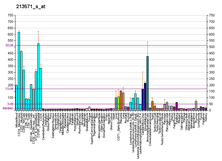 File:PBB GE EIF4E2 213571 s at fs.png