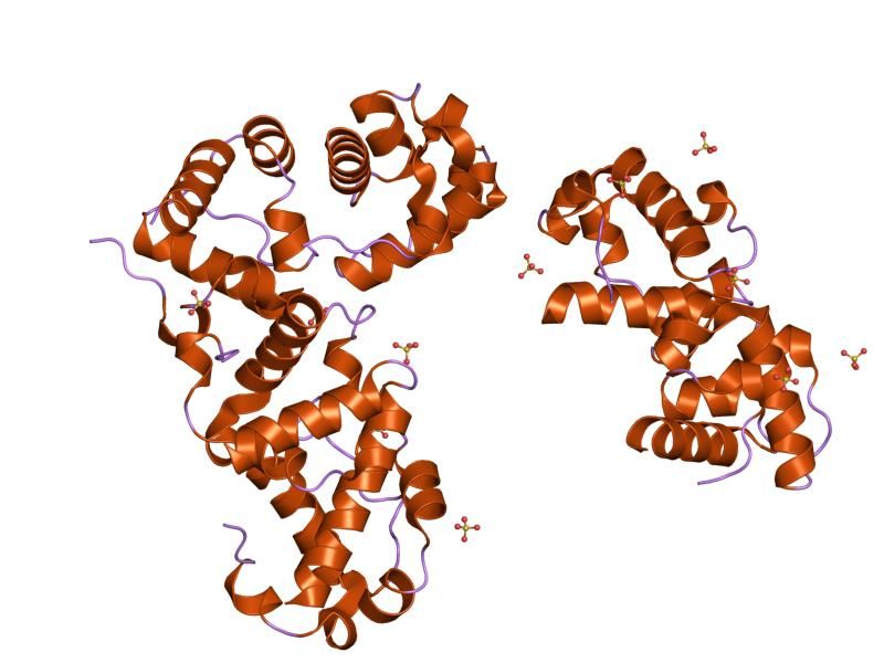 File:PDB 1lky EBI.jpg