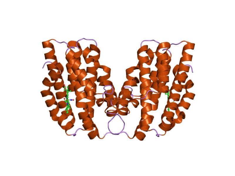 File:PDB 1ozw EBI.jpg