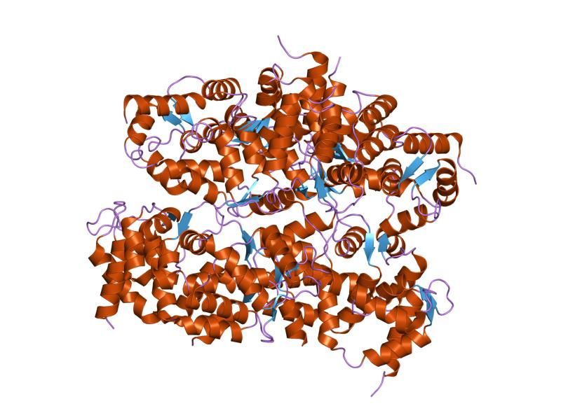 File:PDB 1qx5 EBI.jpg