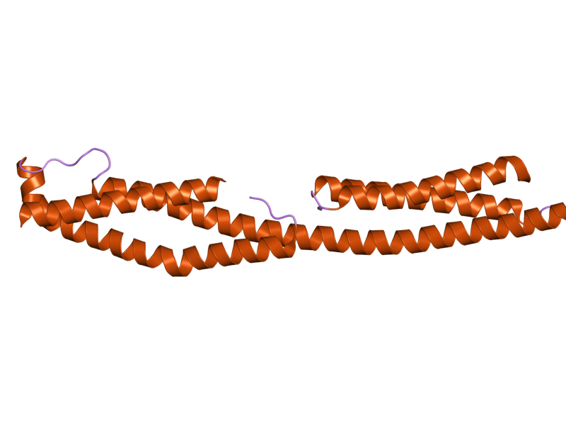 File:PDB 2odu EBI.png